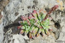 ADL_022879