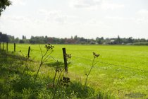 ADL_040971