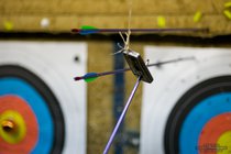 ADL_059353.jpg  2011-02-11 21:13:36