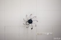 ADL_234461
