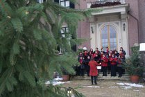 DSC07310_091227_doorn.jpg  2009-12-27 15:06:57