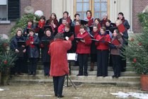 DSC07312_091227_doorn.jpg  2009-12-27 15:07:35