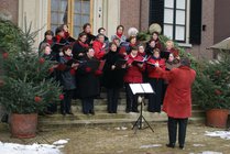 DSC07318_091227_doorn.jpg  2009-12-27 15:12:15