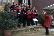 DSC07327_091227_doorn.jpg  2009-12-27 15:19:38