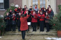 DSC07333_091227_doorn.jpg  2009-12-27 15:23:38