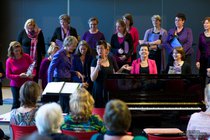 ADL_144567.jpg  2013-11-03 15:49:32